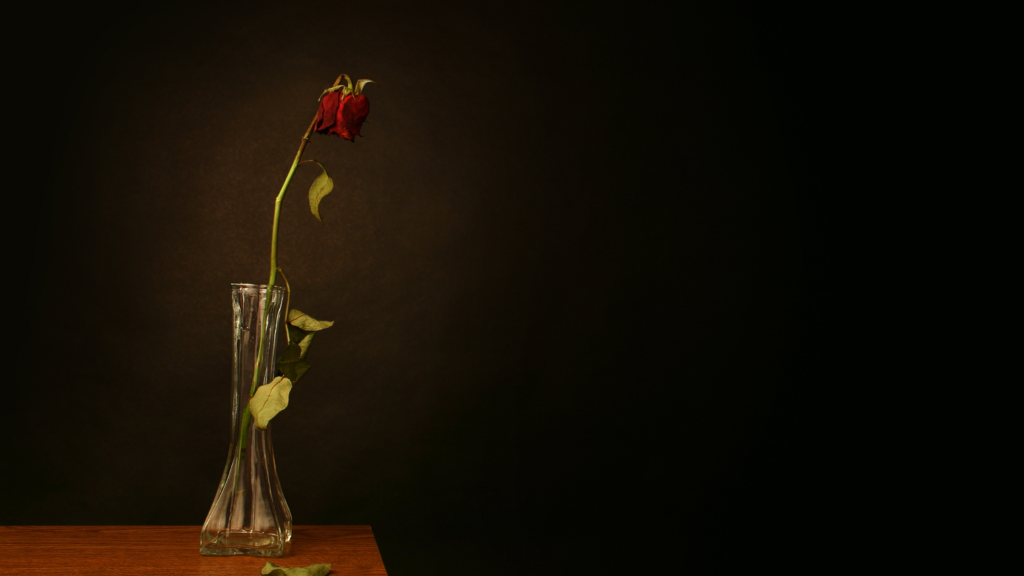 wilted flower -- loved and lost symbol
