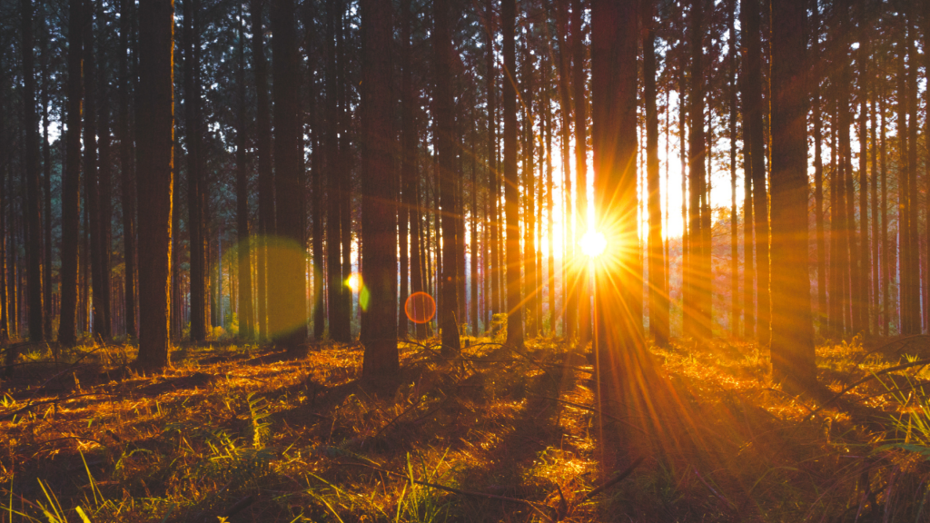 sunrise get over someone inspiration